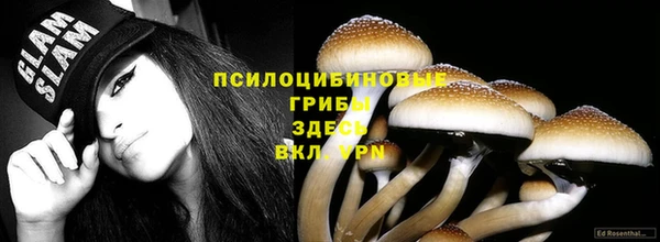 MDMA Premium VHQ Магадан