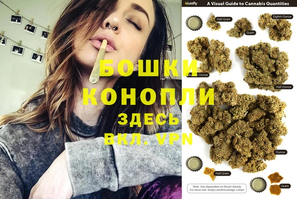 гашик Анива