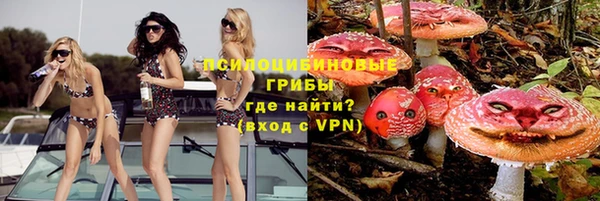 дмт Анжеро-Судженск