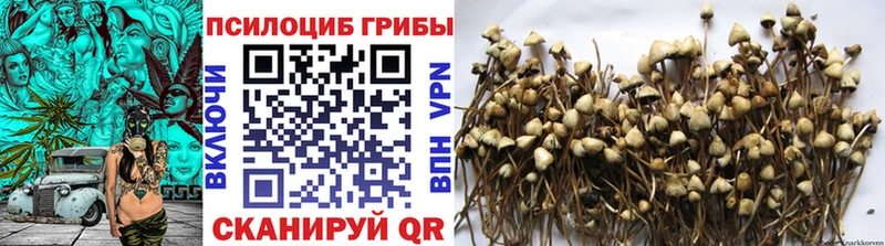 Псилоцибиновые грибы прущие грибы  закладка  kraken ссылки  Гусиноозёрск 
